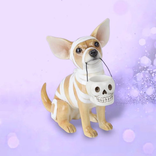 Mummy Chihuahua 13.5"