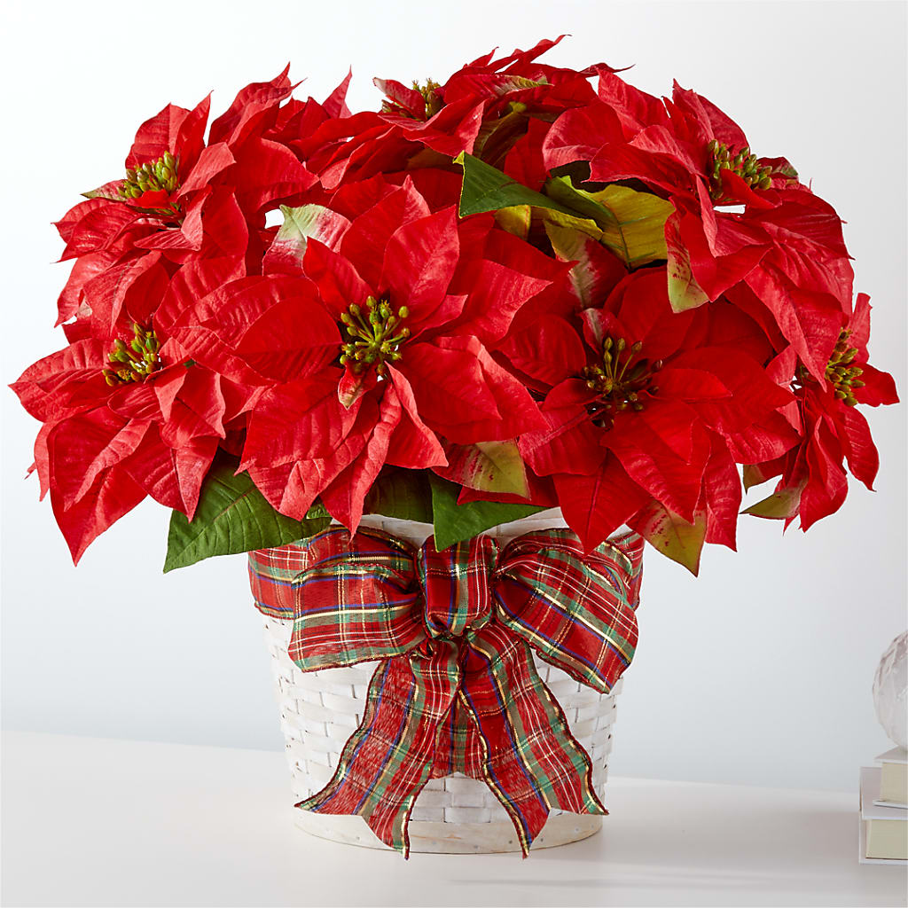 Happiest Holidays Poinsettia – WALTON FLORIST & GIFTS, Walton KY