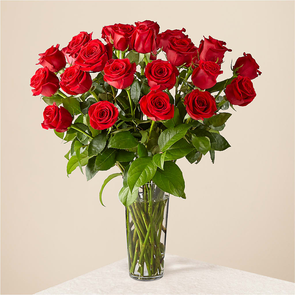 Long Stem Red Rose Bouquet – WALTON FLORIST & GIFTS, Walton KY