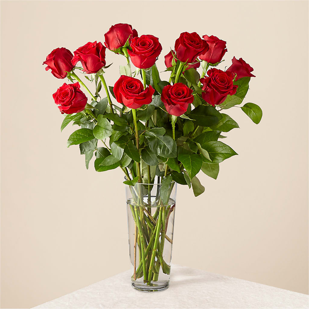 Long Stem Red Rose Bouquet – WALTON FLORIST & GIFTS, Walton KY