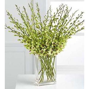 Beautiful Fall Abundant Orchid Stems Vased 20  Stems vased