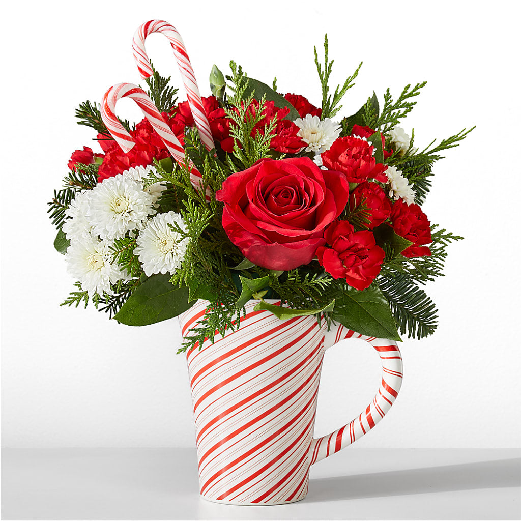 Peppermint Swirl Mug – WALTON FLORIST & GIFTS, Walton KY