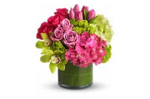 Elegant Inspirations Mix Bqt – WALTON FLORIST & GIFTS, Walton KY