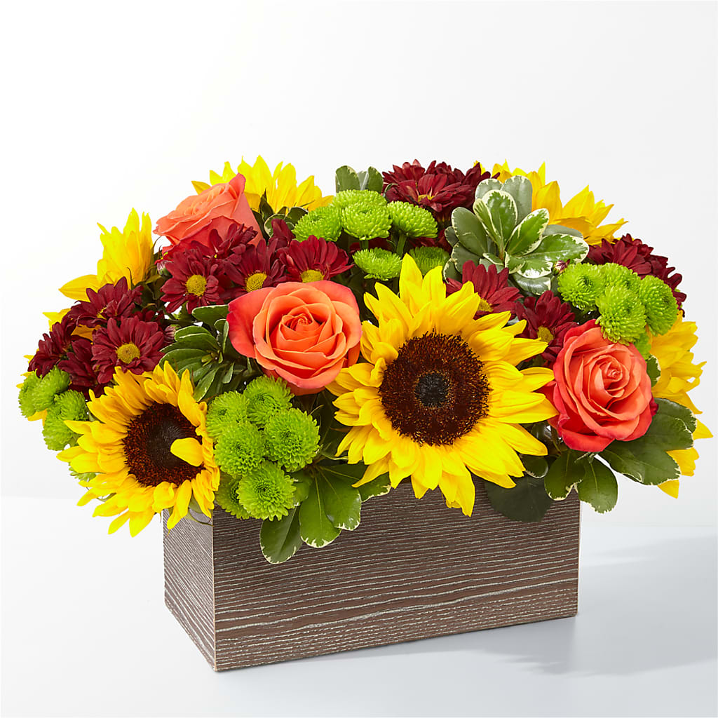 Happy Harvest Garden – WALTON FLORIST & GIFTS, Walton KY