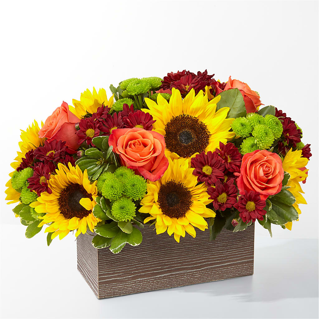 Happy Harvest Garden – WALTON FLORIST & GIFTS, Walton KY