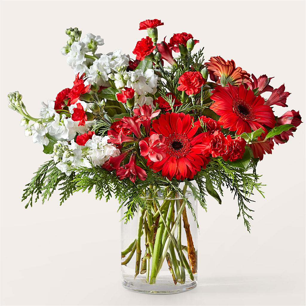 Holidaisy Bouquet – WALTON FLORIST & GIFTS, Walton KY
