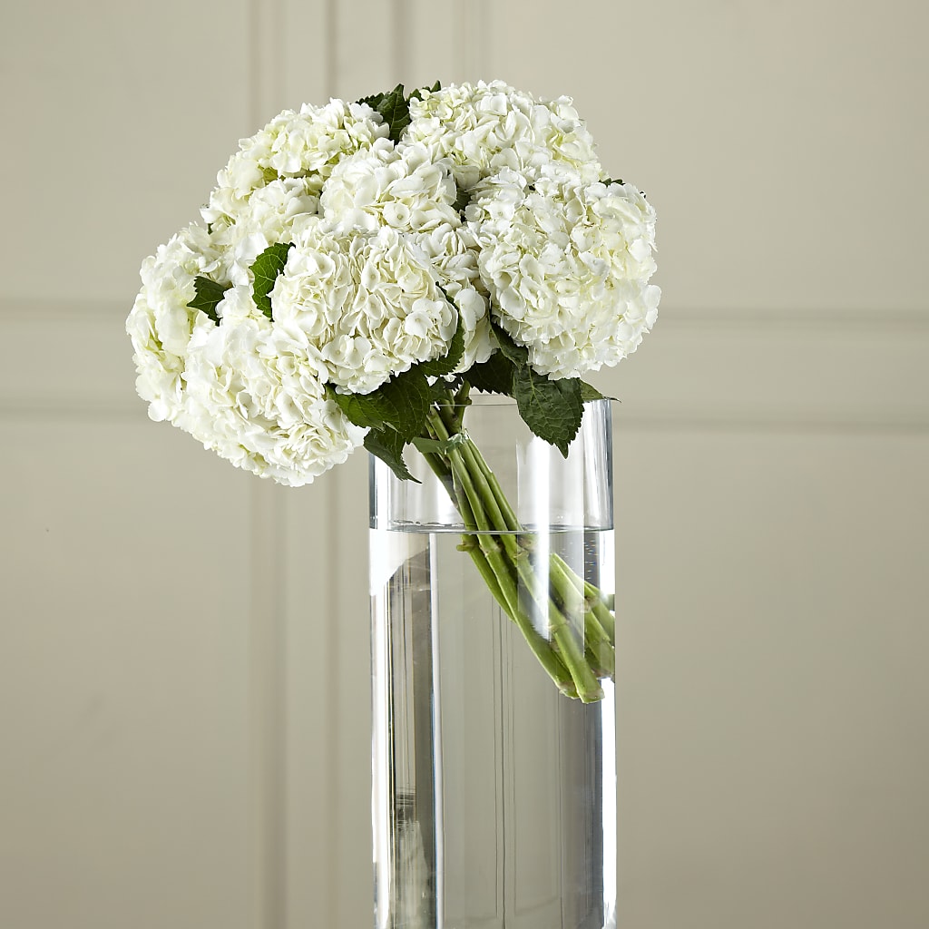 White Hydrangea Hand-Tied Bouquet – WALTON FLORIST & GIFTS, Walton KY
