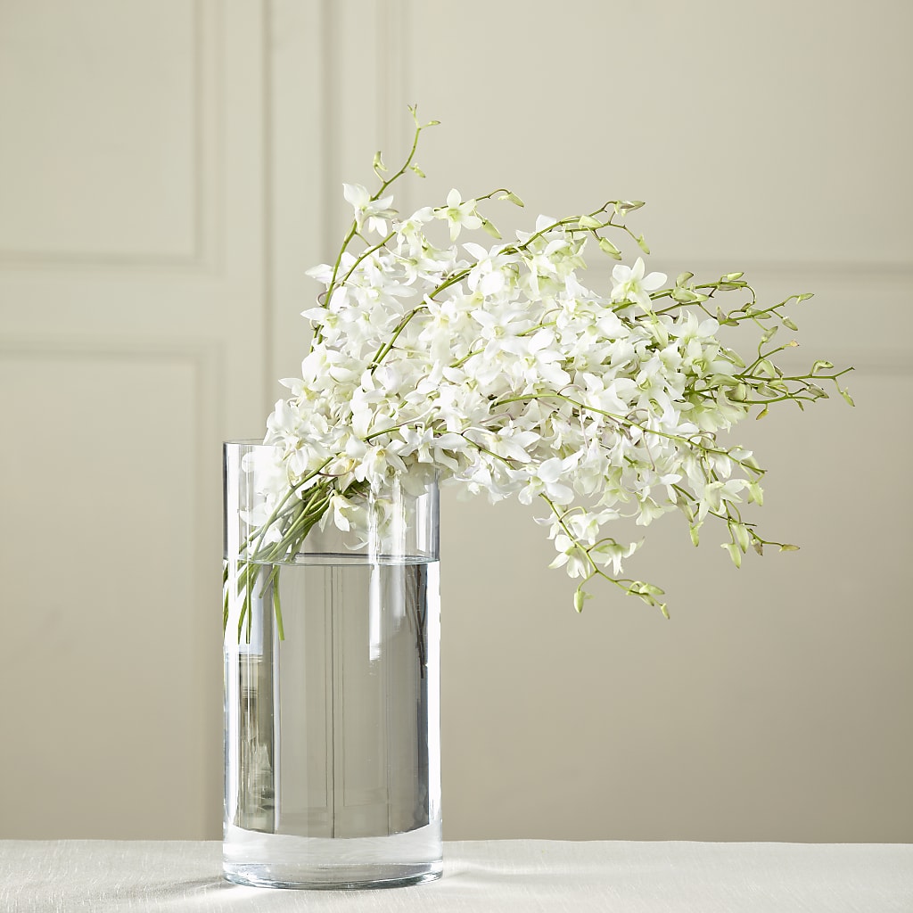 White Dendrobium Bouquet – WALTON FLORIST & GIFTS, Walton KY