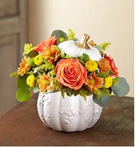 Festive Fall White Pumpkin – WALTON FLORIST & GIFTS, Walton KY