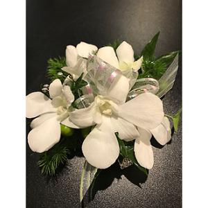 Elegant miniature orchid corsage – WALTON FLORIST & GIFTS, Walton KY