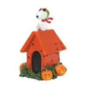 Peanuts World War 1 Flying Ace – WALTON FLORIST & GIFTS, Walton KY