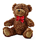 Adorable Plush Bear – WALTON FLORIST & GIFTS, Walton KY