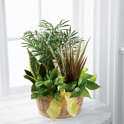 French Garden – WALTON FLORIST & GIFTS, Walton KY
