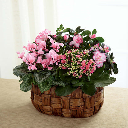 Pink Assortment – WALTON FLORIST & GIFTS, Walton KY