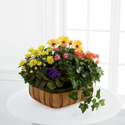 Gentle Blossoms Basket – WALTON FLORIST & GIFTS, Walton KY