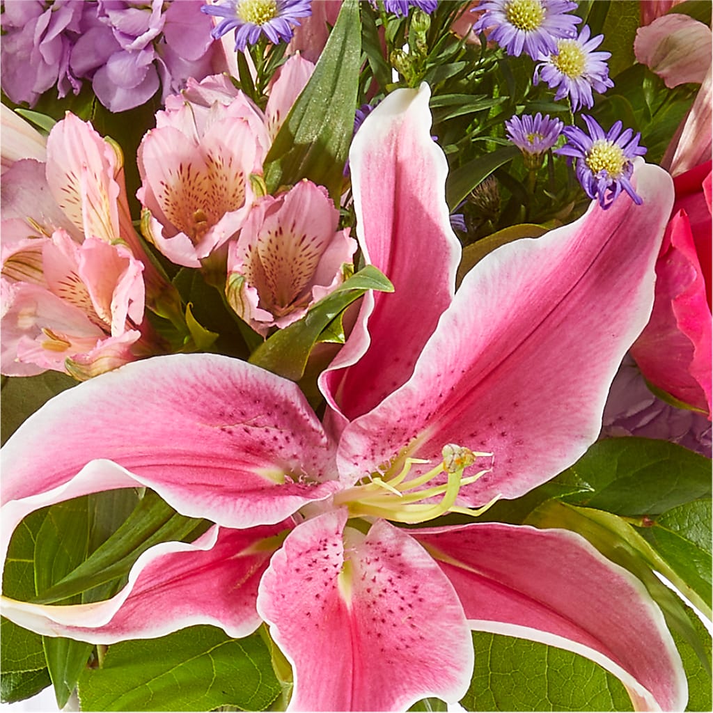 Written in the Stars Bouquet – WALTON FLORIST & GIFTS, Walton KY
