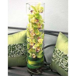 Contemporary Green Orchid Cylinder Arrangement – WALTON FLORIST & GIFTS, Walton KY