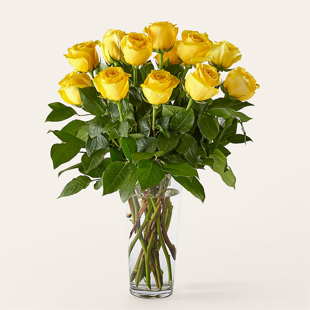 Long Stem Yellow Rose Bouquet – WALTON FLORIST & GIFTS, Walton KY