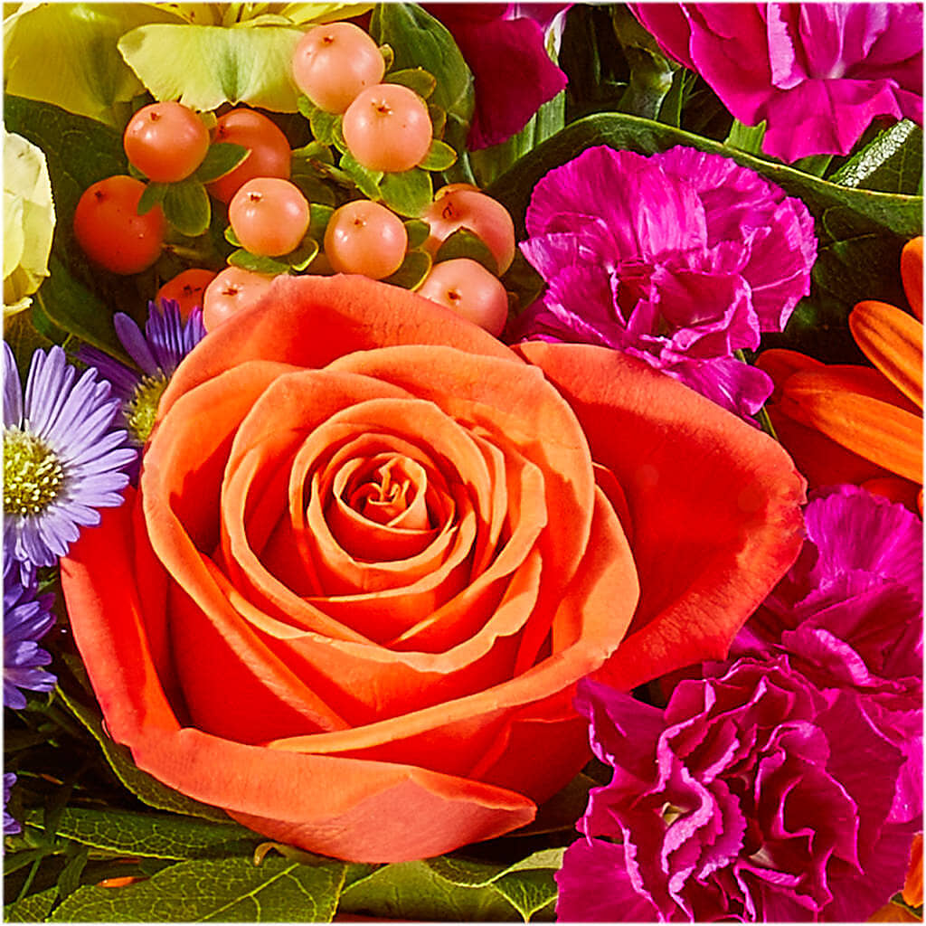 Tricks & Treats Pumpkin – WALTON FLORIST & GIFTS, Walton KY