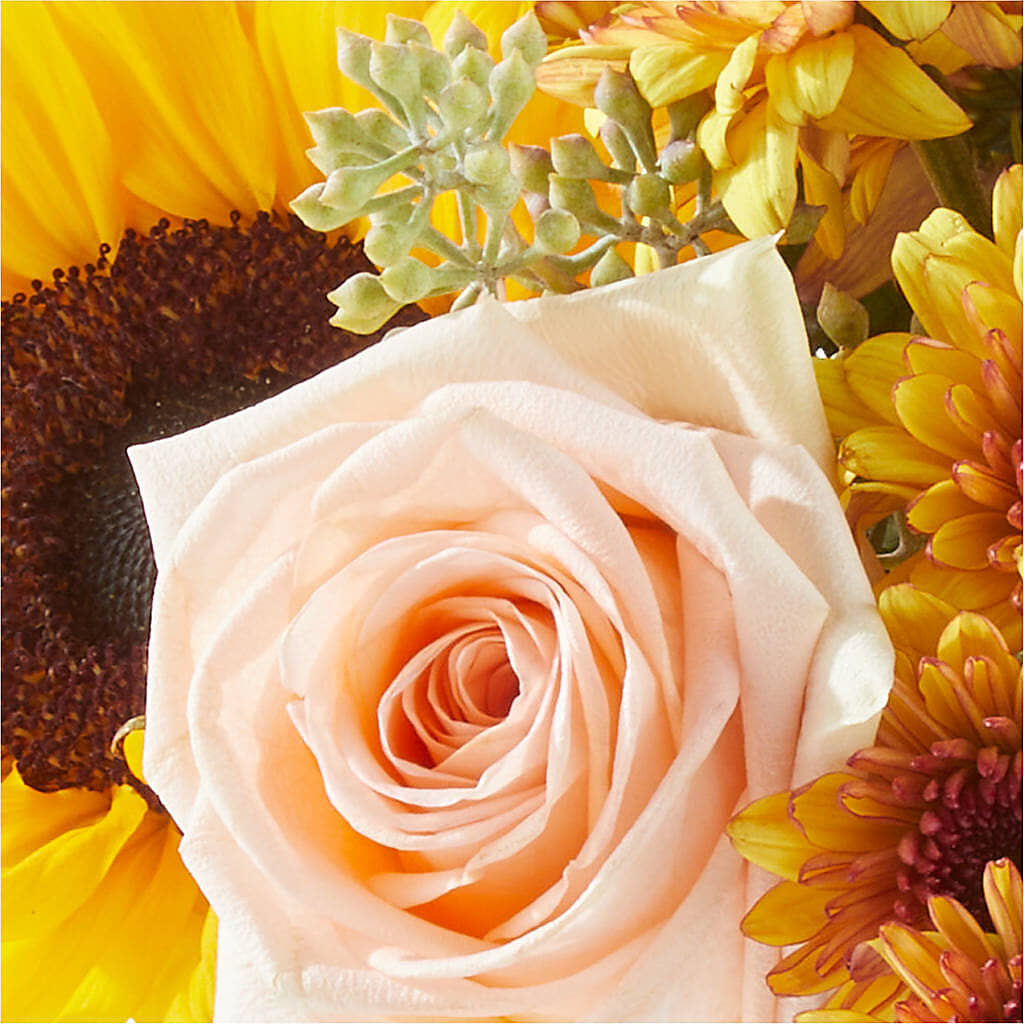 Pumpkin to Talk About Bouquet – WALTON FLORIST & GIFTS, Walton KY