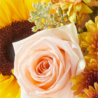 Pumpkin to Talk About Bouquet – WALTON FLORIST & GIFTS, Walton KY