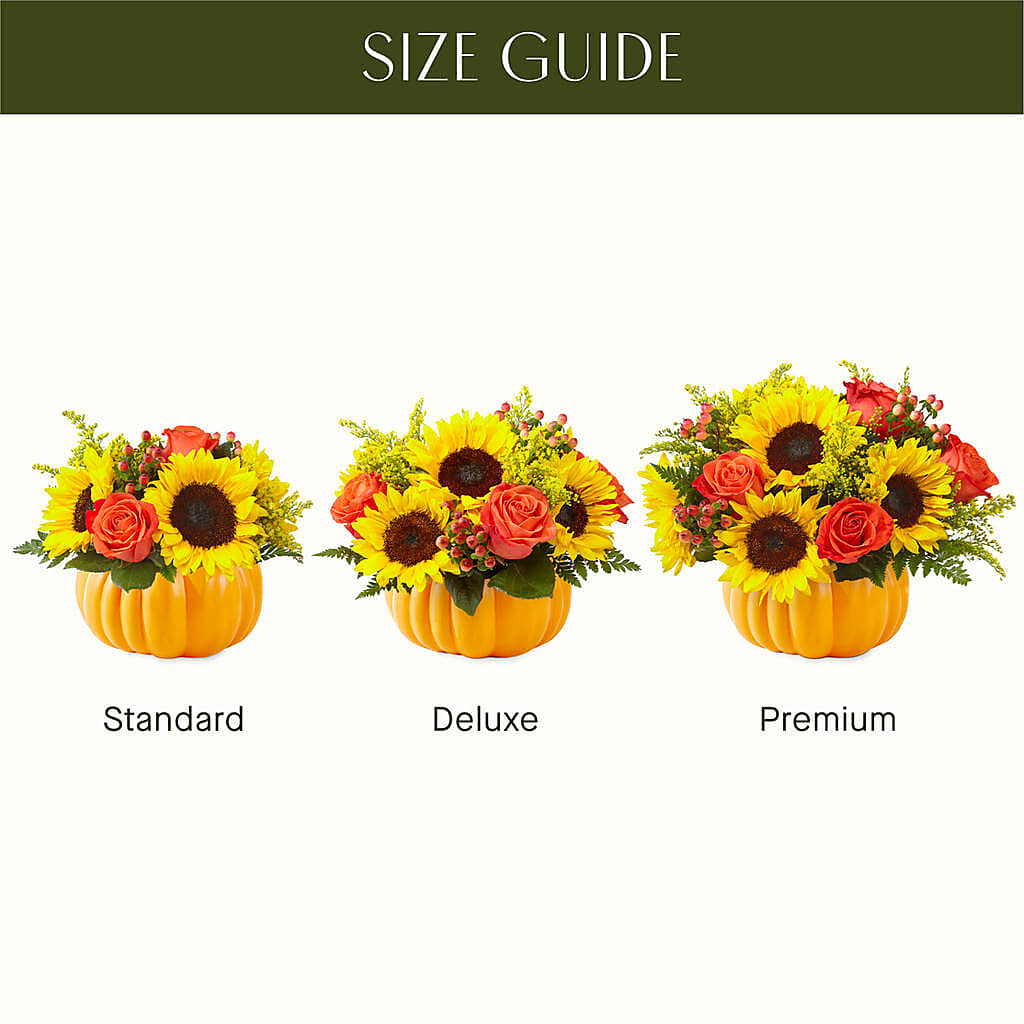 Pick of the Patch Pumpkin Bouquet – WALTON FLORIST & GIFTS, Walton KY