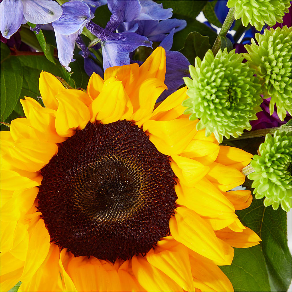 Catching Rays Bouquet – WALTON FLORIST & GIFTS, Walton KY