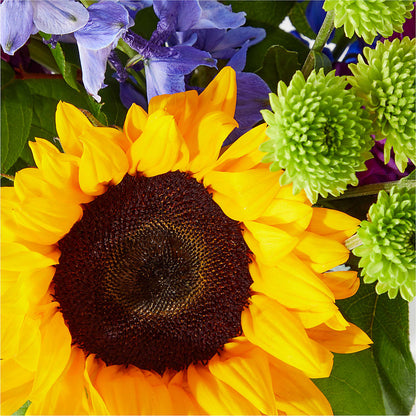 Catching Rays Bouquet – WALTON FLORIST & GIFTS, Walton KY