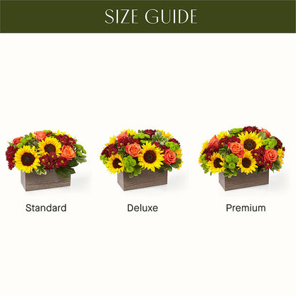 Happy Harvest Garden – WALTON FLORIST & GIFTS, Walton KY