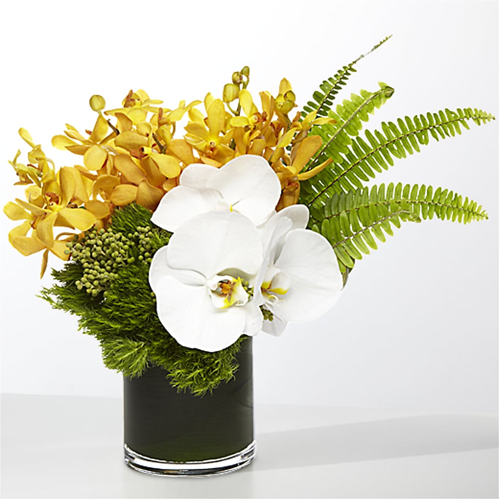 The Tropics – WALTON FLORIST & GIFTS, Walton KY