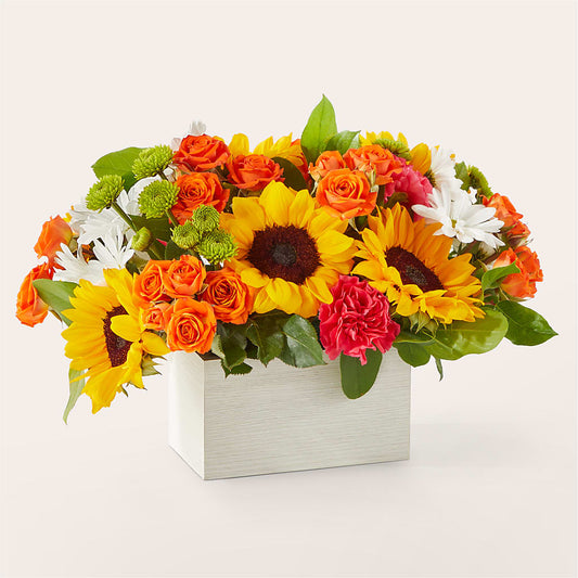 Sun-drenched Blooms Box Bouquet – WALTON FLORIST & GIFTS, Walton KY