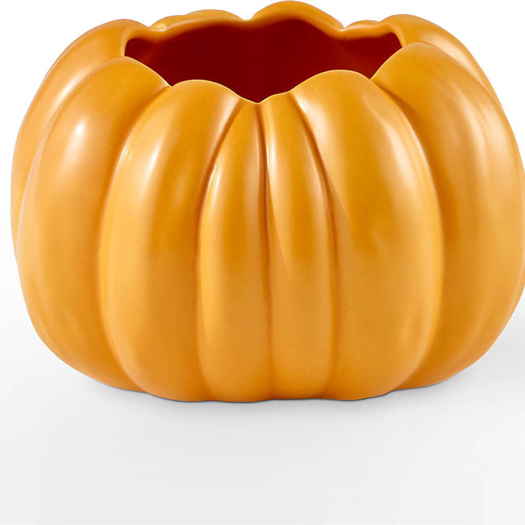 Pick of the Patch Pumpkin Bouquet – WALTON FLORIST & GIFTS, Walton KY