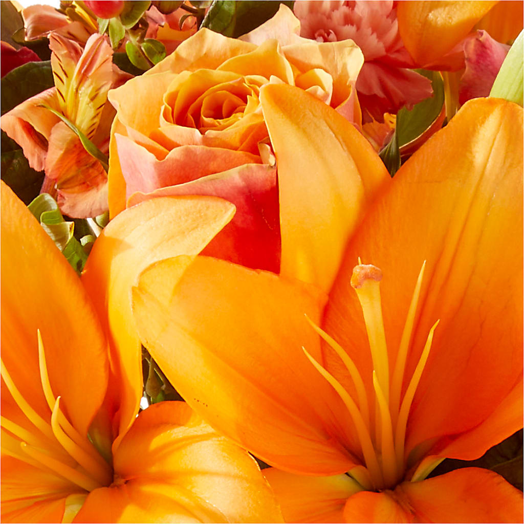 Afternoon Light Bouquet – WALTON FLORIST & GIFTS, Walton KY