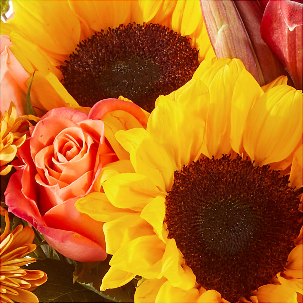 Acorn Lane Bouquet – WALTON FLORIST & GIFTS, Walton KY