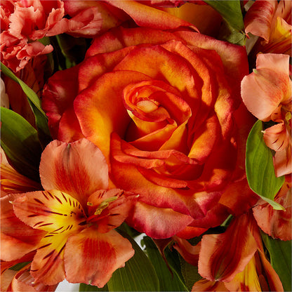 Apricot Glow Bouquet – WALTON FLORIST & GIFTS, Walton KY
