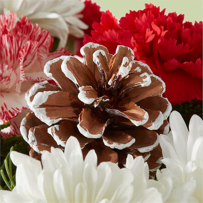 Candy Cane Lane Bouquet – WALTON FLORIST & GIFTS, Walton KY
