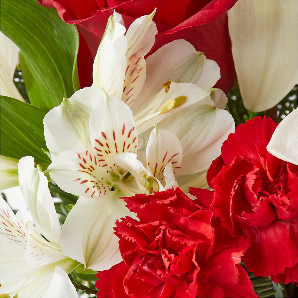 Holiday Season Bouquet – WALTON FLORIST & GIFTS, Walton KY
