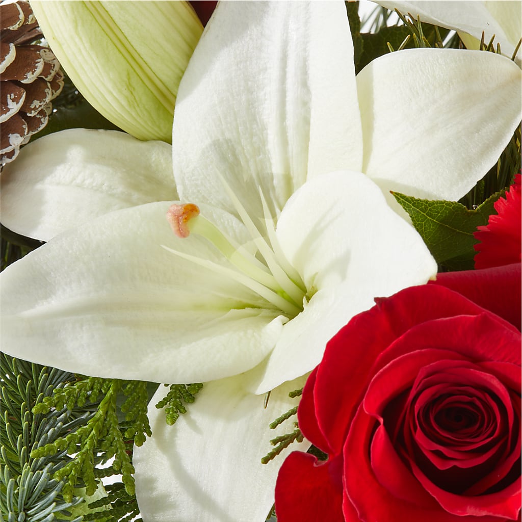 Oh So Jolly Bouquet – WALTON FLORIST & GIFTS, Walton KY