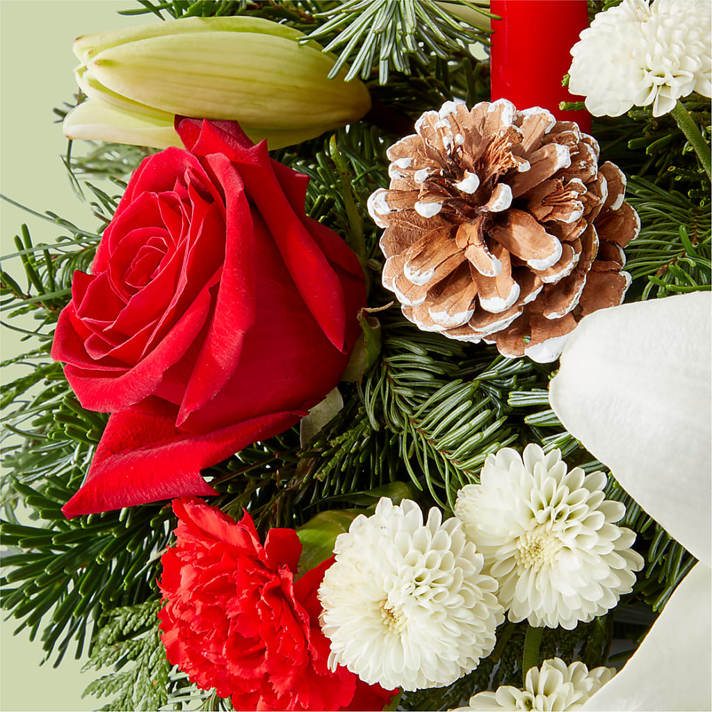 Seasonal Festivities Centerpiece – WALTON FLORIST & GIFTS, Walton KY