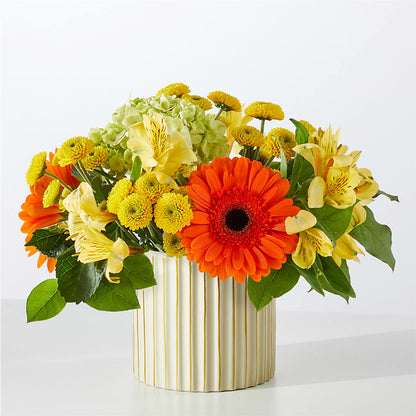 Autumn Sunshine Bouquet with Ivory Vase – WALTON FLORIST & GIFTS, Walton KY