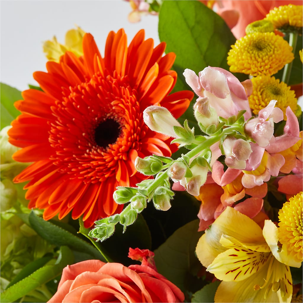Autumn Sunshine Bouquet – WALTON FLORIST & GIFTS, Walton KY