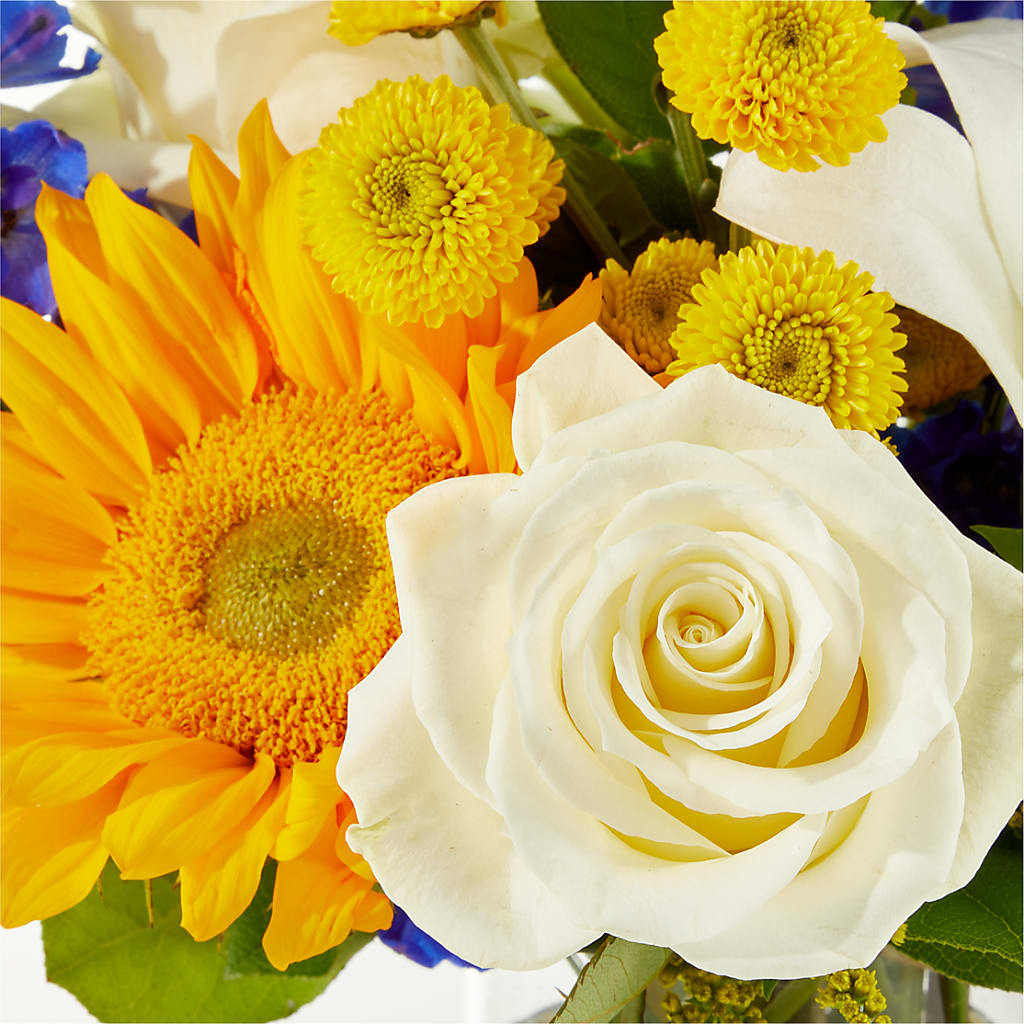 Stargazing Bouquet – WALTON FLORIST & GIFTS, Walton KY
