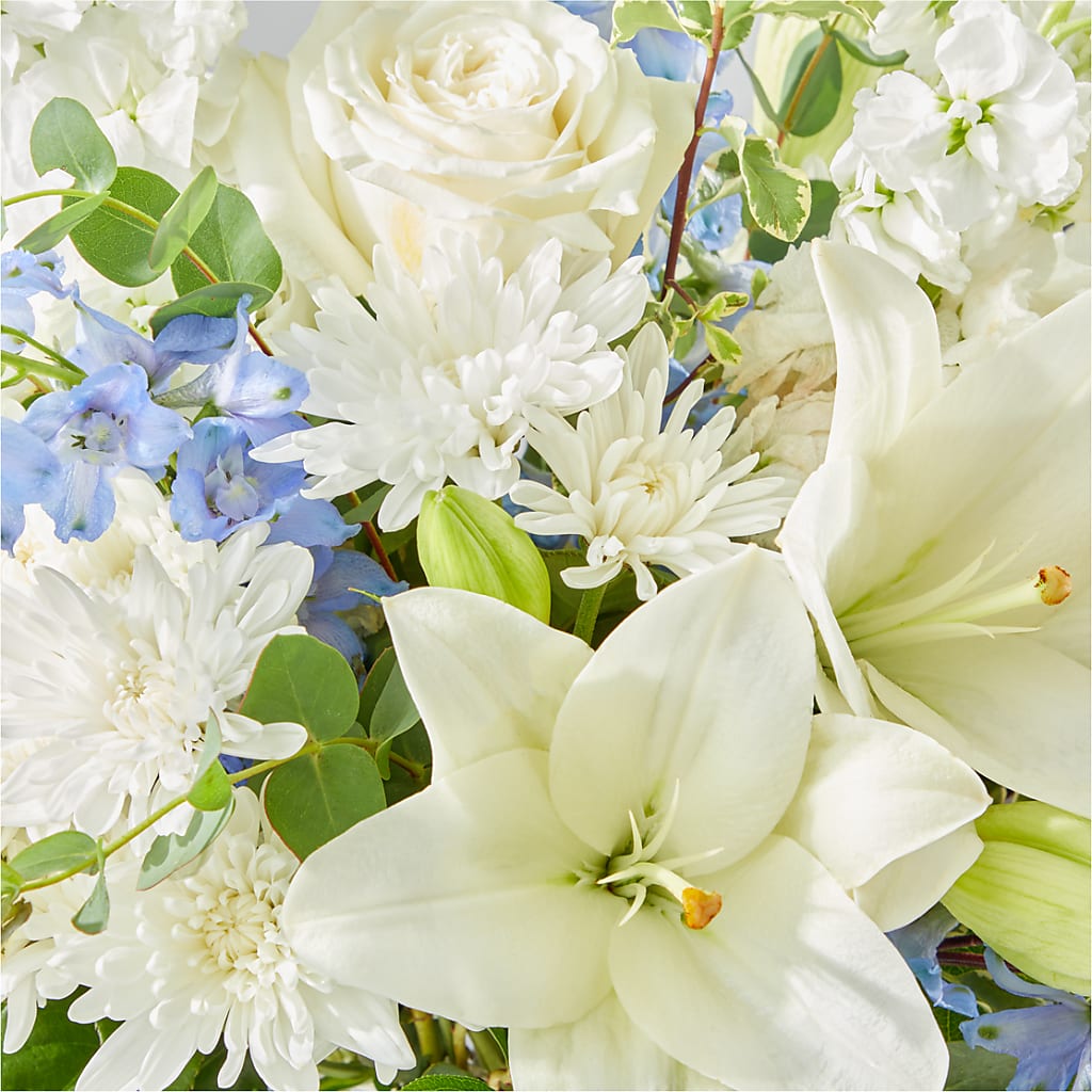 Peace of Mind Bouquet – WALTON FLORIST & GIFTS, Walton KY