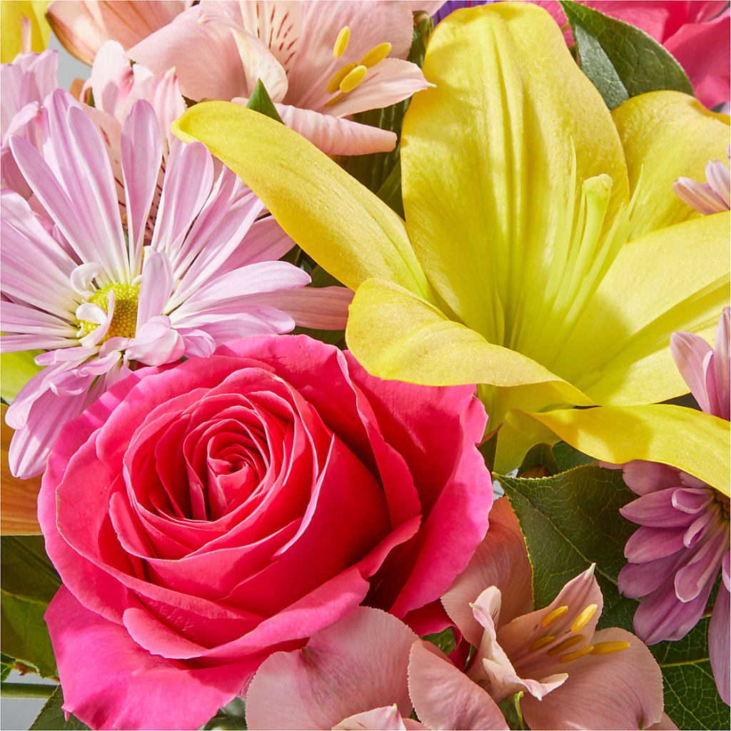 Sprinkles Bouquet – WALTON FLORIST & GIFTS, Walton KY