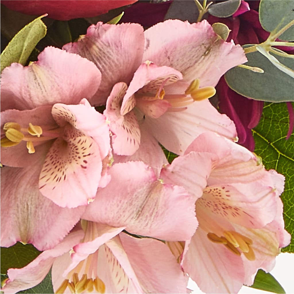 Berry Cobbler Bouquet – WALTON FLORIST & GIFTS, Walton KY