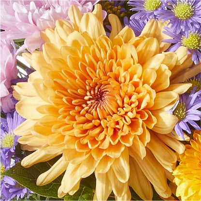 Countryside Bouquet – WALTON FLORIST & GIFTS, Walton KY