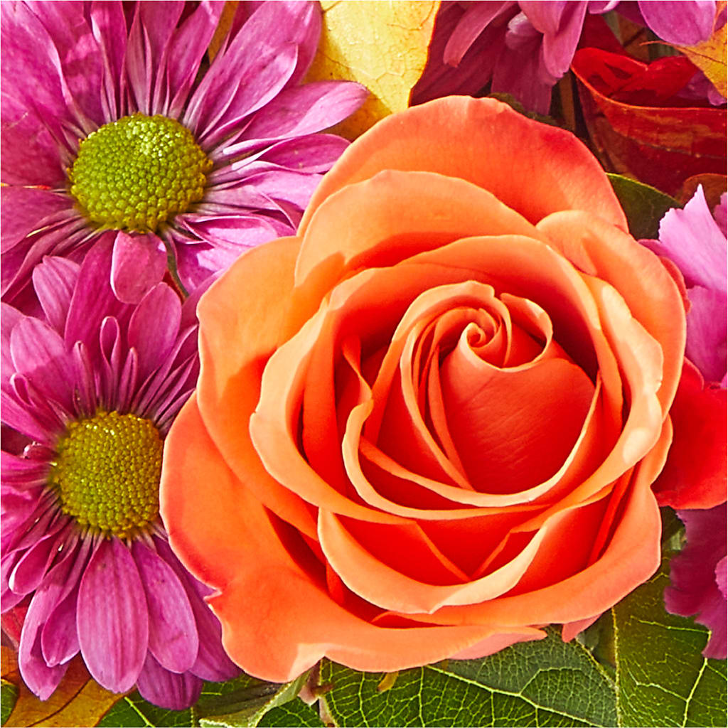 Mum's the Word Bouquet – WALTON FLORIST & GIFTS, Walton KY