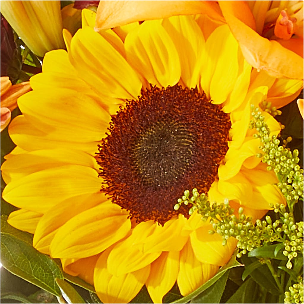 Seasons Change Bouquet – WALTON FLORIST & GIFTS, Walton KY