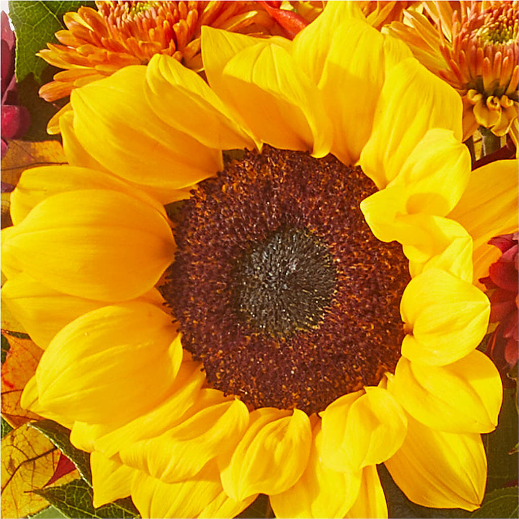 Sunny Side Bouquet – WALTON FLORIST & GIFTS, Walton KY