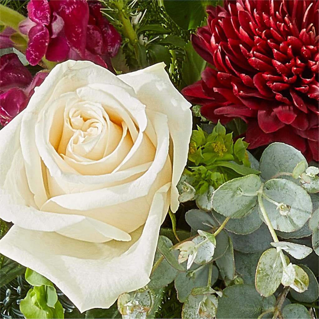 Cranberry Fizz Bouquet – WALTON FLORIST & GIFTS, Walton KY